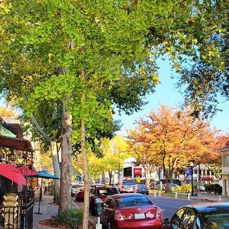 Artist'S Retreat Near The Heart Of The City Sacramento Dış mekan fotoğraf
