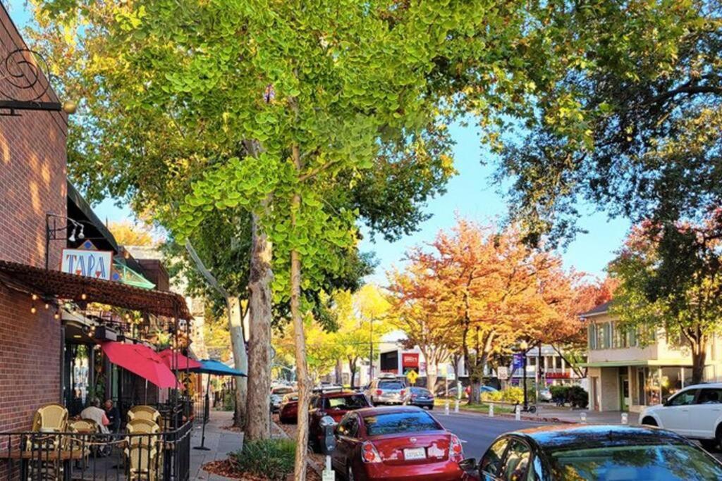 Artist'S Retreat Near The Heart Of The City Sacramento Dış mekan fotoğraf