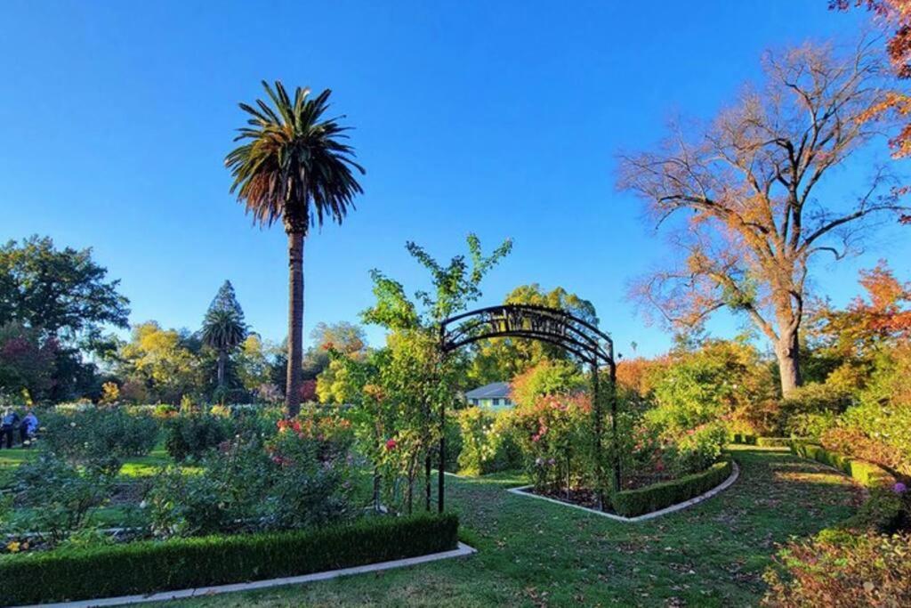 Artist'S Retreat Near The Heart Of The City Sacramento Dış mekan fotoğraf